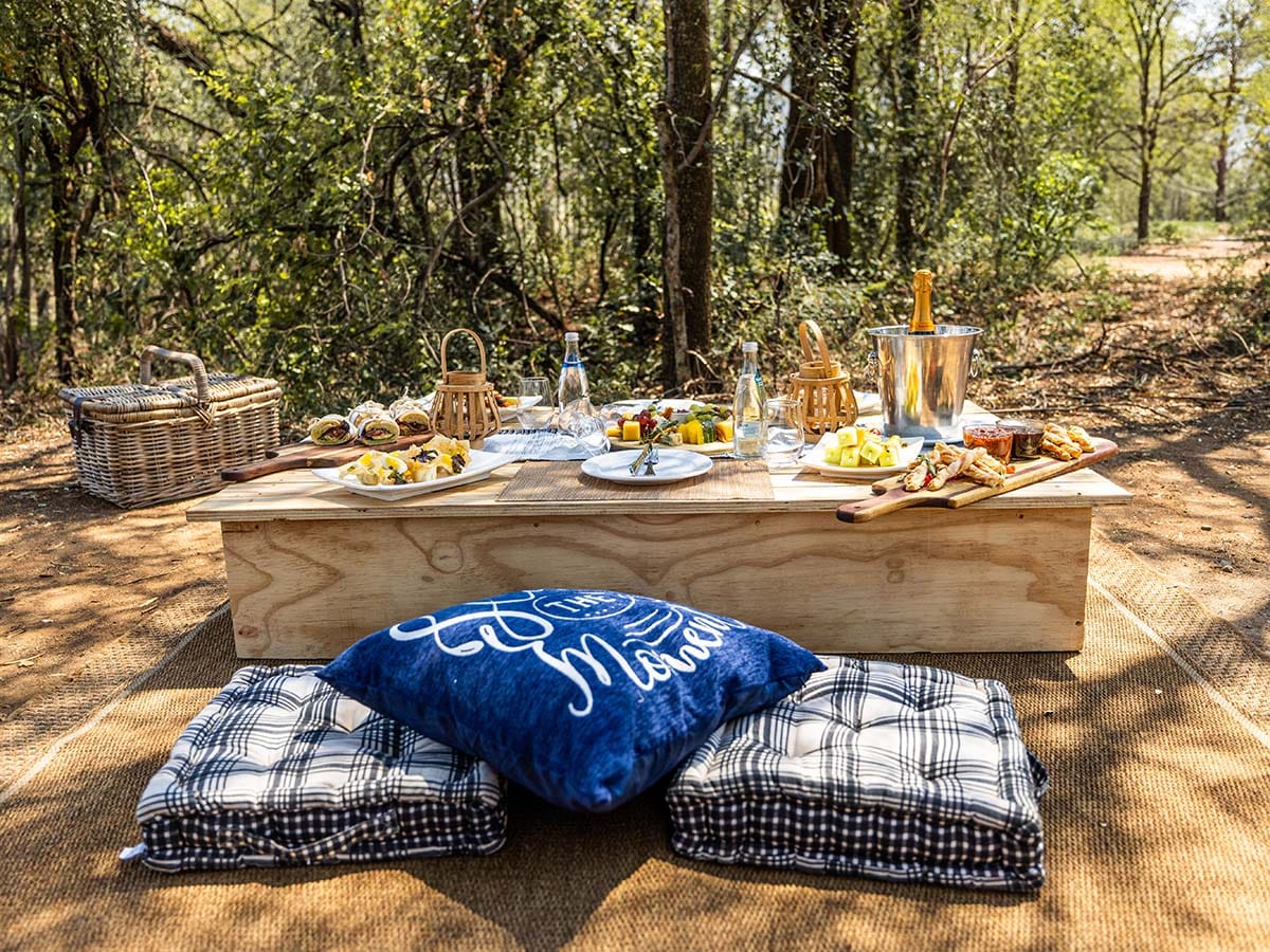 Ivory Tree Game Lodge - Picnic setup